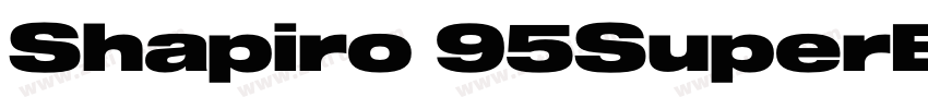 Shapiro 95SuperExtd字体转换 Shapiro 95SuperExtd字体转换